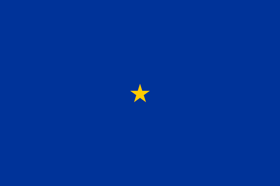 FlagsforEurope1